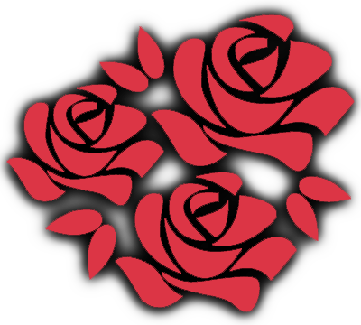 Логотип doramaboom.ru